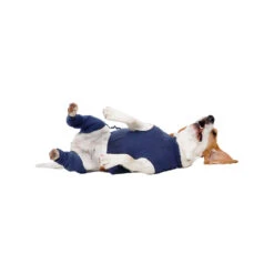 MPS-HLS Achterpootmouwtjes -Beste Dierenartikelen Winkel mps hls achterpootmouwtjes 167440 1000 none