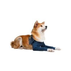 MPS-TAZ2 Voorpootmouwtjes -Beste Dierenartikelen Winkel mps taz2 voorpootmouwtjes 167446 1000 none