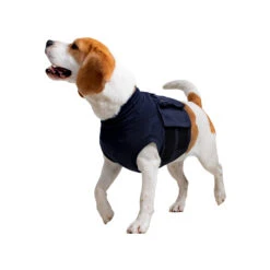 MPS-TOP Shirt 4 In 1 -Beste Dierenartikelen Winkel mps top shirt 4 in 1 149909 2000 none