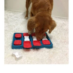 Nina Ottosson Dog Brick 7 Nina Ottosson Dog Brick -Beste Dierenartikelen Winkel nina ottosson dog brick 96128 0500 none