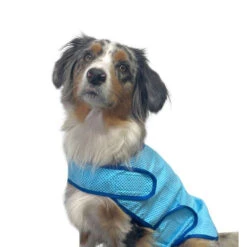 Nobby Cooling Vest -Beste Dierenartikelen Winkel nobby cooling vest 222498 1000 none