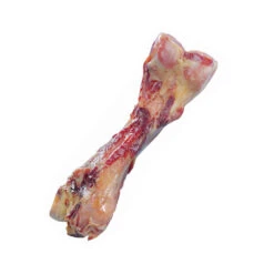 Nobby Parmabeen 20 Nobby Parmabeen -Beste Dierenartikelen Winkel nobby parmabeen 130628 1000 none