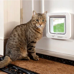 SureFlap Microchip Kattenluik -Beste Dierenartikelen Winkel p3pvYfSbnZwTLFjS8xwjla4Ii09W1U metaU3VyZWZsYXAtU2ZlZXIuanBn