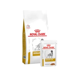 Royal Canin Urinary S/O Hond 17 Royal Canin Urinary S/O Hond -Beste Dierenartikelen Winkel pKr2QW26HITOmnU3wv8XWbXxSAelpr metacGx1cy1tYWFsdGlqZC5wbmc