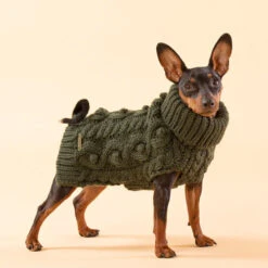 PAIKKA Handmade Knit Sweater -Beste Dierenartikelen Winkel paikka handmade knit sweater green 217735 0500 none