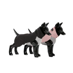 PAIKKA Recovery Winter Shirt 39 PAIKKA Recovery Winter Shirt -Beste Dierenartikelen Winkel paikka recovery winter shirt 217785 2000 none