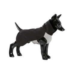 PAIKKA Recovery Winter Shirt 24 PAIKKA Recovery Winter Shirt -Beste Dierenartikelen Winkel paikka recovery winter shirt grey maat 40 134524 2000 none