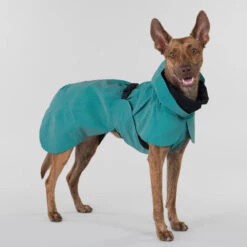 PAIKKA Visibility Raincoat Emerald -Beste Dierenartikelen Winkel paikka visibility raincoat emerald 222162 2000 none
