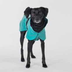 PAIKKA Visibility Raincoat Emerald -Beste Dierenartikelen Winkel paikka visibility raincoat emerald 222163 2000 none