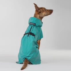 PAIKKA Visibility Raincoat Emerald -Beste Dierenartikelen Winkel paikka visibility raincoat emerald 222164 2000 none