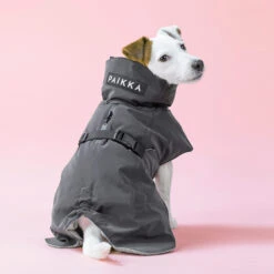 PAIKKA Visibility Winter Jacket -Beste Dierenartikelen Winkel paikka visibility winter jacket 217797 2000 none