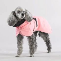 PAIKKA Visibility Winter Jacket -Beste Dierenartikelen Winkel paikka visibility winter jacket 217799 2000 none