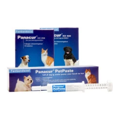 Panacur - Hond & Kat -Beste Dierenartikelen Winkel panacur hond en kat 88405 1000 none