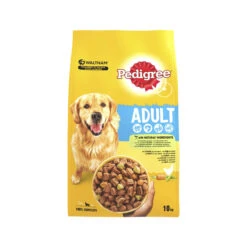 Pedigree Droog Adult - Hondenbrokken 11 Pedigree Droog Adult - Hondenbrokken -Beste Dierenartikelen Winkel pedigree droog adult hondenbrokken kip 10 kg 138047 2000 none