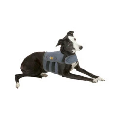 Petlife KarmaWrap Hond -Beste Dierenartikelen Winkel petlife karmawrap hond 154186 1000 none