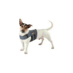Petlife KarmaWrap Hond -Beste Dierenartikelen Winkel petlife karmawrap hond 154189 1000 none