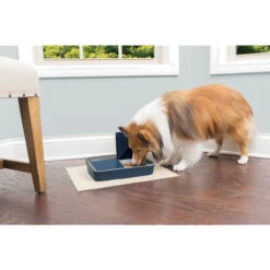 PetSafe Automatic 2 Meal Pet Feeder 8 PetSafe Automatic 2 Meal Pet Feeder -Beste Dierenartikelen Winkel petsafe automatic 2 meal pet feeder 197492 0500 none
