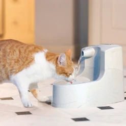 Petsafe Drinkwell Mini Drinkfontein - 1.2 L -Beste Dierenartikelen Winkel petsafe drinkwell mini drinkfontein 12 l 208064 1000 none