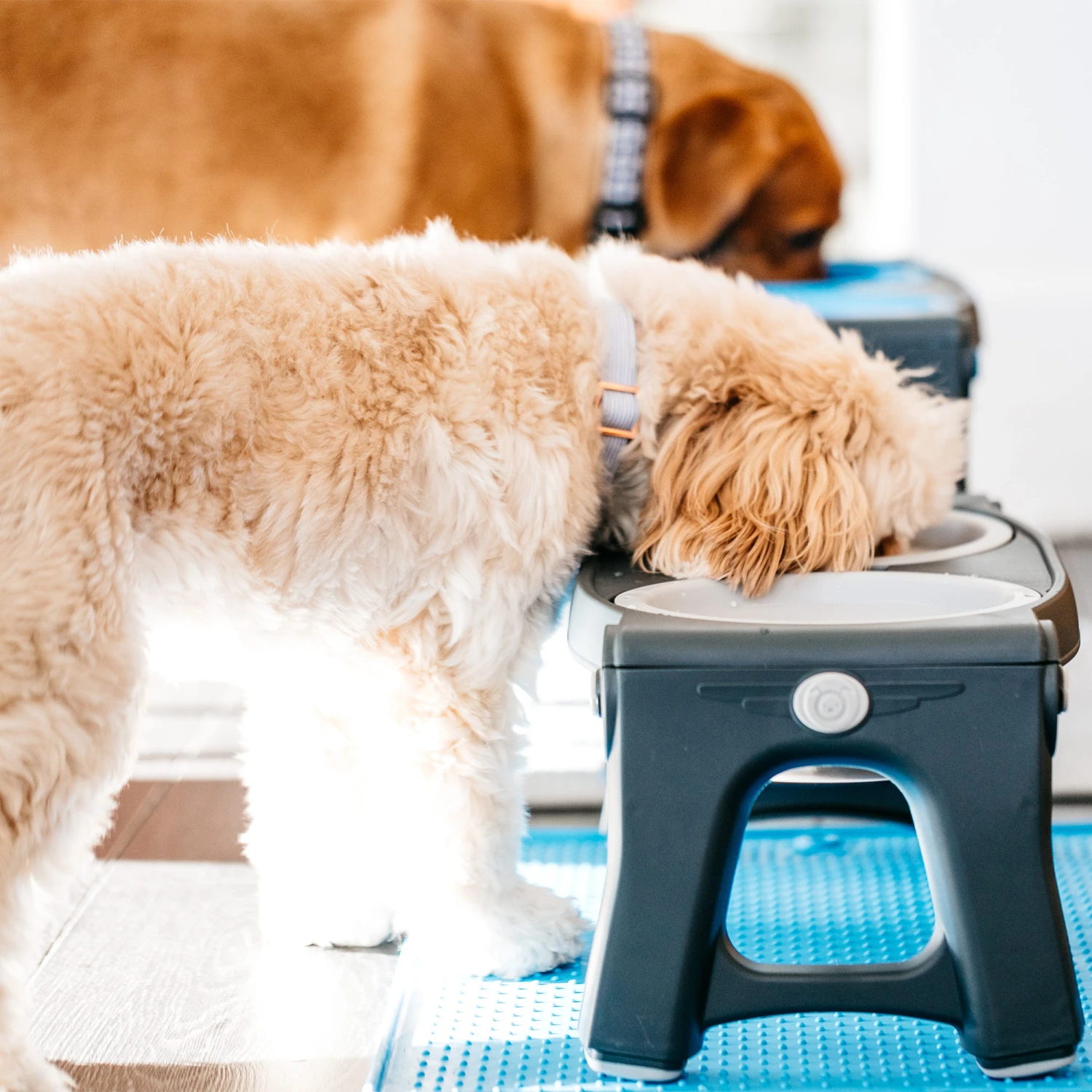 Popware Adjustable Height Pet Feeder 11 Popware Adjustable Height Pet Feeder - Afbeelding 11