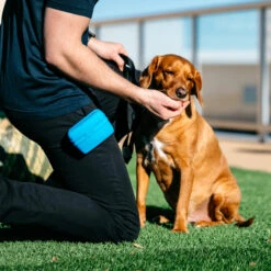 Popware Pooch Pouch Treatbag -Beste Dierenartikelen Winkel popware pooch pouch treatbag 164698 2000 none