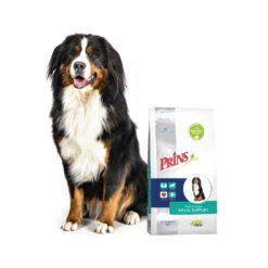 Prins ProCare Croque Renal Support -Beste Dierenartikelen Winkel prins procare croque renal support 171433 1500 none