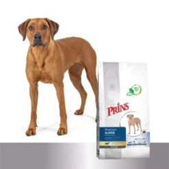 Prins ProCare Croque Super Performance 12 Prins ProCare Croque Super Performance -Beste Dierenartikelen Winkel prins procare croque super performance 171379 1500 none
