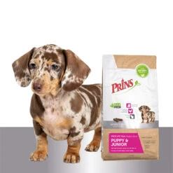 Prins ProCare Mini Puppy & Junior Perfect Start -Beste Dierenartikelen Winkel prins procare mini puppy junior perfect start 171748 1500 none