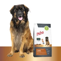 Prins Protection Croque Lamb Hypoallergenic -Beste Dierenartikelen Winkel prins protection croque lamb hypoallergenic 172030 1500 none