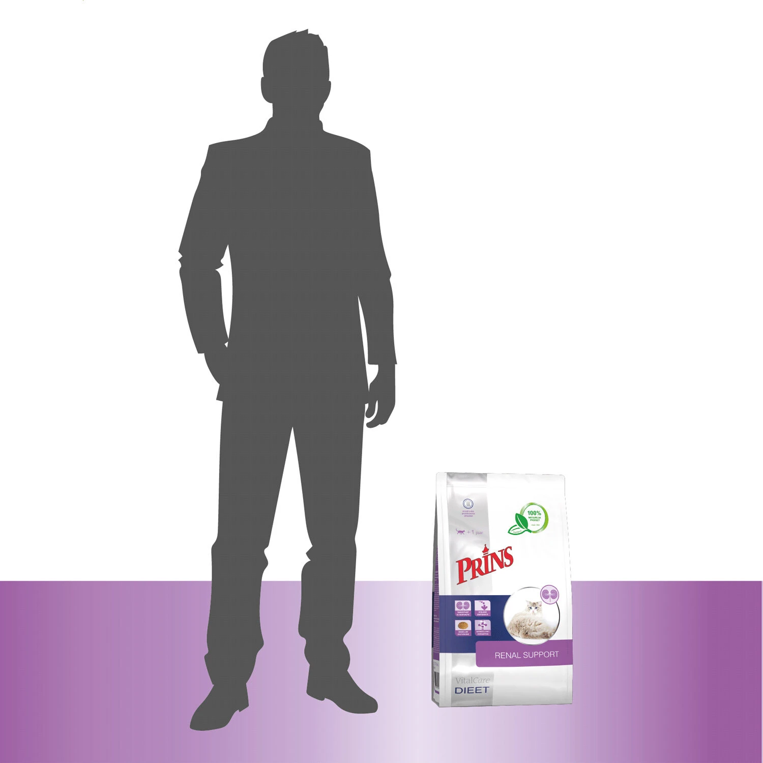 Prins VitalCare Renal Support 7 Prins VitalCare Renal Support - Afbeelding 7