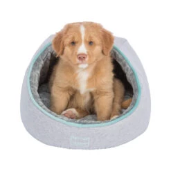 Trixie Junior Schuilplaats 7 Trixie Junior Schuilplaats -Beste Dierenartikelen Winkel prod 14310 196658 2000 none