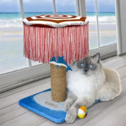 KONG Play Spaces CATbana 6 KONG Play Spaces CATbana -Beste Dierenartikelen Winkel prod 14645 203480 0500 none