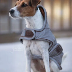Kentucky Dog Coat Reflective & Waterrepellent -Beste Dierenartikelen Winkel prod 15746 219013 0500 none