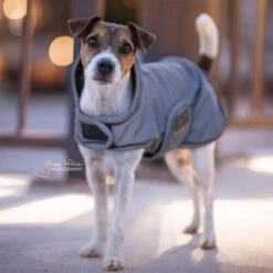 Kentucky Dog Coat Reflective & Waterrepellent -Beste Dierenartikelen Winkel prod 15746 219014 0500 none