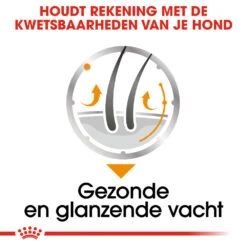 Royal Canin Coat Care Wet - Hondenvoer 15 Royal Canin Coat Care Wet - Hondenvoer -Beste Dierenartikelen Winkel prod 8914 131822 1000 none