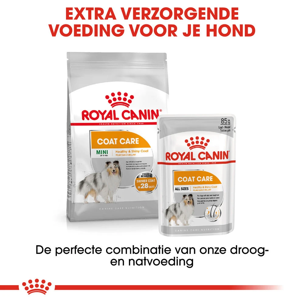 Royal Canin Coat Care Wet - Hondenvoer 7 Royal Canin Coat Care Wet - Hondenvoer - Afbeelding 7