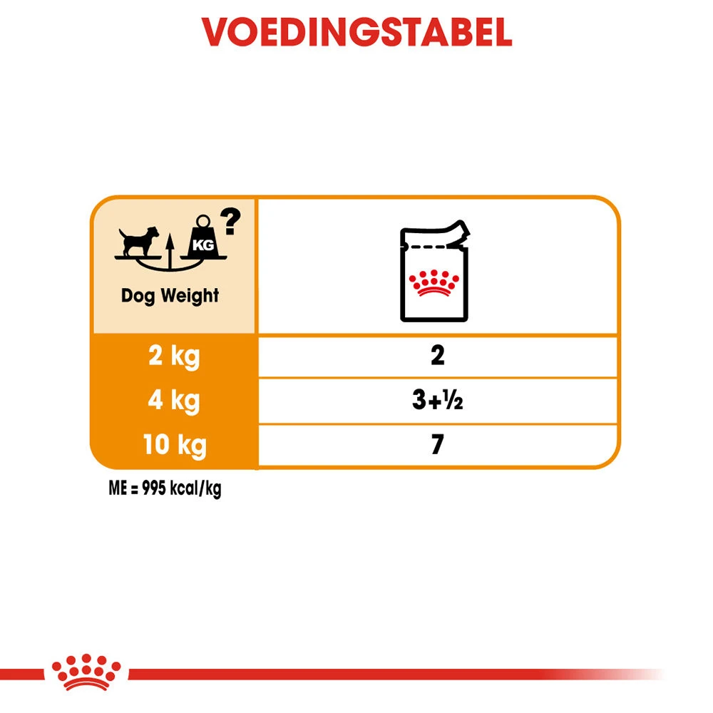Royal Canin Coat Care Wet - Hondenvoer 9 Royal Canin Coat Care Wet - Hondenvoer - Afbeelding 9