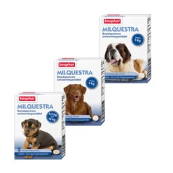 Beaphar Milquestra Hond -Beste Dierenartikelen Winkel product beaphar milquestra hond none 4 1463566026 68931