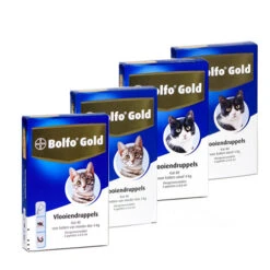 Bolfo Gold Kat 14 Bolfo Gold Kat -Beste Dierenartikelen Winkel product bolfo gold kat none 4 1467098417 70443