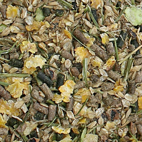 Bonpard Senior 3 Bonpard Senior - Afbeelding 3