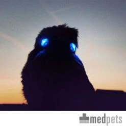 Curli Luumi 15 Curli Luumi -Beste Dierenartikelen Winkel product curli luumi none 4 1497346293 87283