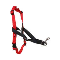 Halti Harnas -Beste Dierenartikelen Winkel product halti harnas none 4 1469182829 71683