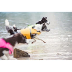 Hurtta Life Savior Zwemvest 11 Hurtta Life Savior Zwemvest -Beste Dierenartikelen Winkel product hurtta life savior none 4 1467708758 70810