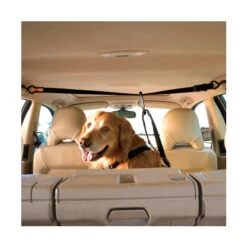 Kurgo Auto Leash - Zip Line Combo -Beste Dierenartikelen Winkel product kurgo auto zip line none 4 1476447681 78835