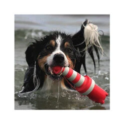 Rogz Lighthouse -Beste Dierenartikelen Winkel product rogz lighthouse none 4 1485526267 82936