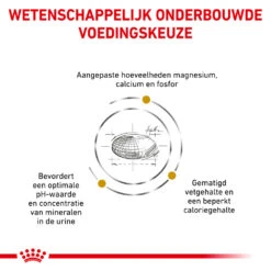 Royal Canin Urinary S/O Moderate Calorie Kat - Maaltijdzakje 12 Royal Canin Urinary S/O Moderate Calorie Kat - Maaltijdzakje -Beste Dierenartikelen Winkel qVH1njwjhLGzL1viSK00YmqUXoHbEN metacm95YWxfY2FuaW5fdXJpbmFyeV9zb19tb2RlcmF0ZV9jYWxvcmllX2thdF8xNTM3OTZfMTAwMF9ub25lLmpwZw