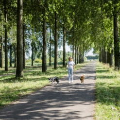 Rebel Petz Verstelbare Duo Riem -Beste Dierenartikelen Winkel rebel petz verstelbare duo riem 208532 2000 none