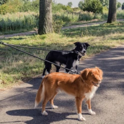 Rebel Petz Verstelbare Duo Riem -Beste Dierenartikelen Winkel rebel petz verstelbare duo riem 208541 2000 none