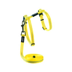 Rogz Beltz - AlleyCat Tuig & Lijn -Beste Dierenartikelen Winkel rogz beltz alleycat tuig lijn 110560 0500 none