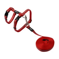 Rogz Beltz - AlleyCat Tuig & Lijn -Beste Dierenartikelen Winkel rogz beltz alleycat tuig lijn 110566 0500 none