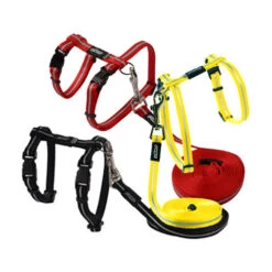 Rogz Beltz - AlleyCat Tuig & Lijn -Beste Dierenartikelen Winkel rogz beltz alleycat tuig lijn 119968 0500 none